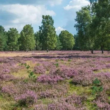 2zi In Schloss Neuhaus Mit Ladestation Fuer Elektroautos * بادربورن