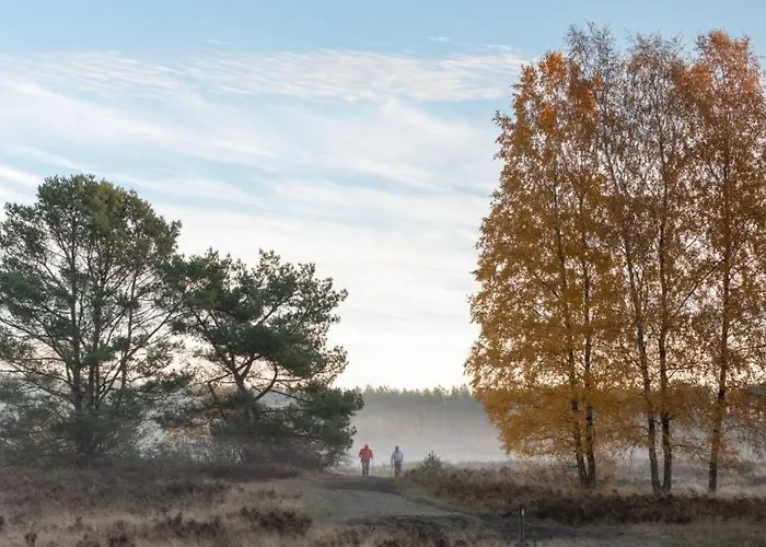 2zi In Schloss Neuhaus Mit Ladestation Fuer Elektroautos Lejlighed Paderborn