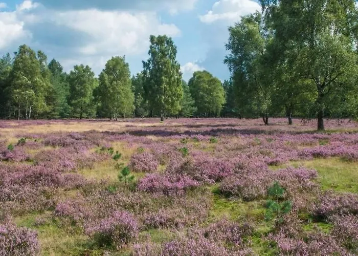 2zi In Schloss Neuhaus Mit Ladestation Fuer Elektroautos * Paderborn